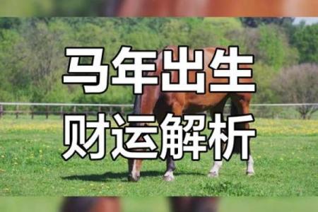 甲午命年，运势爆棚揭秘属马人2019年运势大揭秘