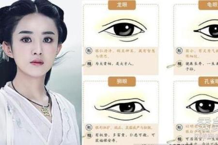 面相揭秘：一眼看穿命运起伏的秘密