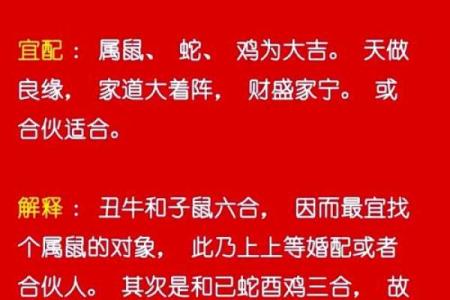 羊年佳人，最佳配对揭晓