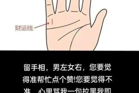 手相子女宫看生男生女，揭秘惊人真相