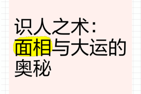 识人秘术：一眼看穿命运的面相奥秘
