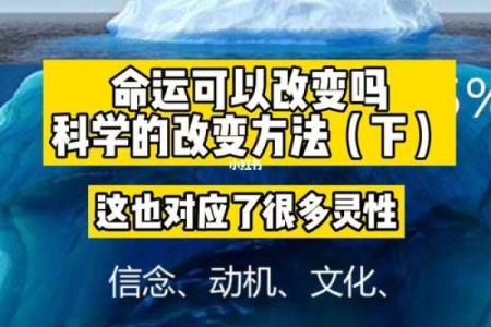 用手机反推八字排盘，掌握命运的秘密