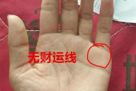 揭秘铁饭碗手相：掌握财运，稳定事业