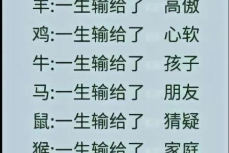 十二生肖配对宝典，破解你的命运密码