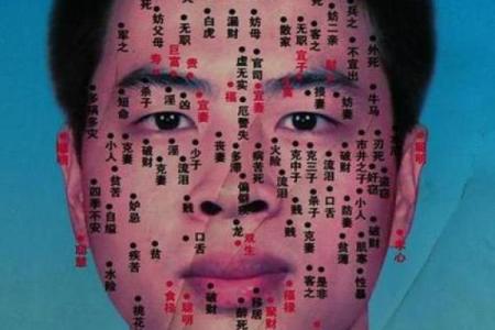 痣相预测：权威专家带你领略面相学的神奇之处
