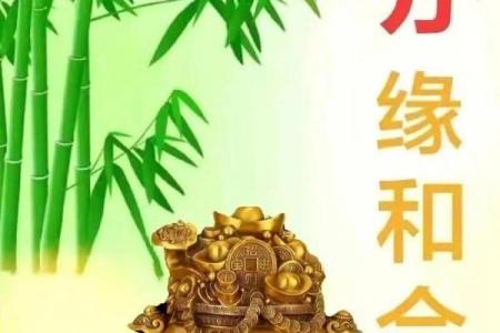 八字喜木，如何从名字中汲取好运与智慧？