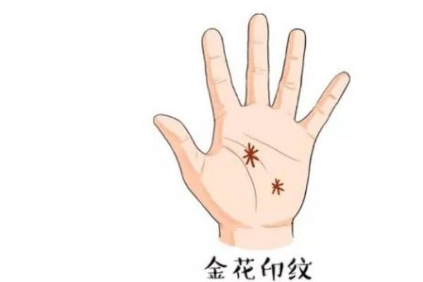 揭秘：金花印纹手相，掌握财运亨通的秘密