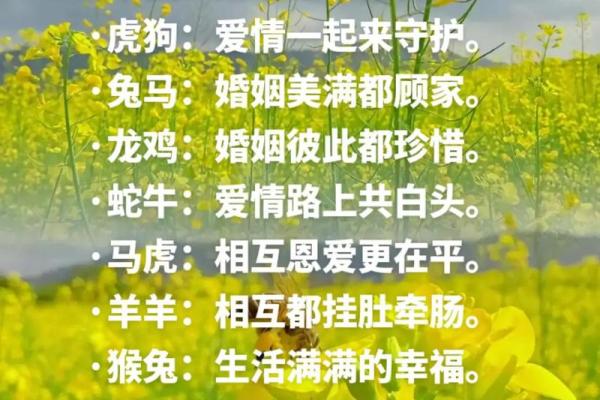 羊鼠组合魅力无限：揭秘属羊女和属鼠男的完美搭配