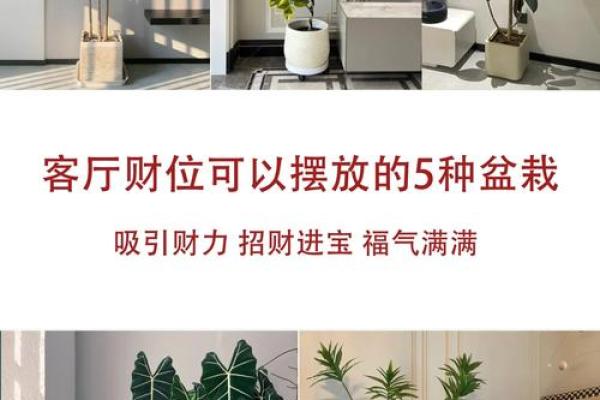 揭秘最灵验风水派别：家居布局瞬间焕新，财运亨通