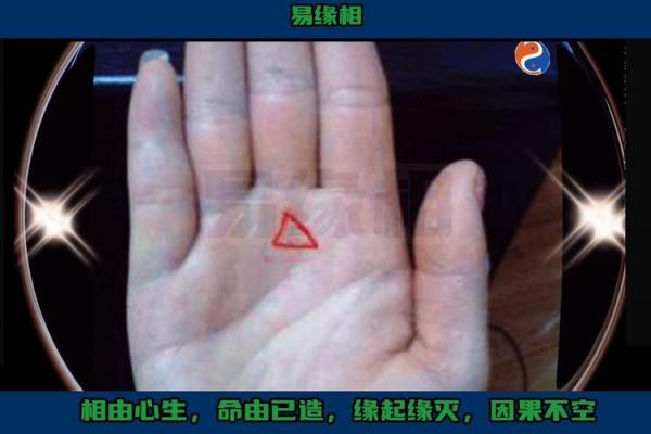 揭秘金三角纹手相，揭秘你的人生运势密码