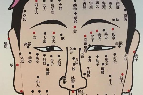 一痣一命运：全面解析全身痣相，助你了解自己的运势