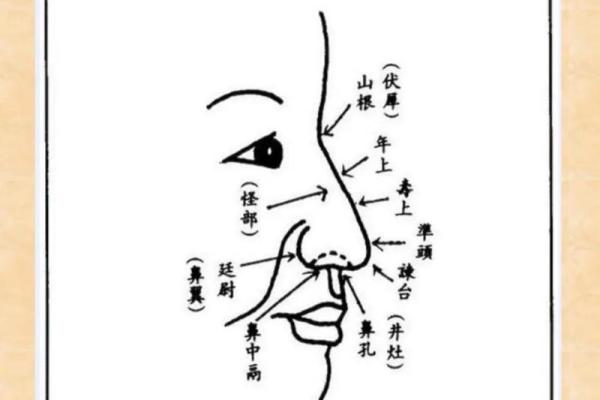 面相解码：鼻子、痣里的命运密码