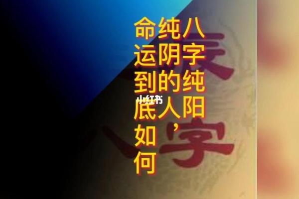 纯阳八字适合什么职业？掌握命运的关键