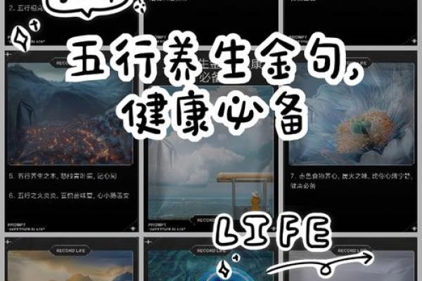 王五行养生之道：五行平衡让你拥有健康体魄