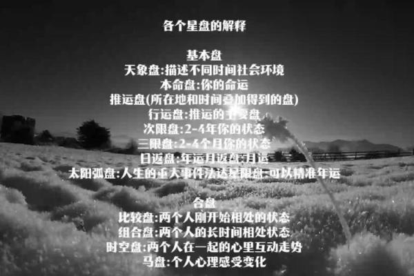 测试大冒险：揭秘你的神秘命运