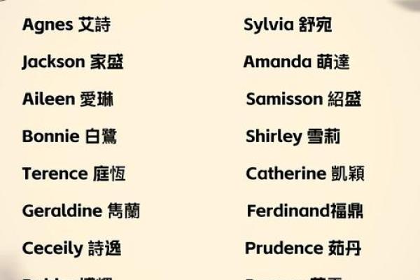 如何根据行业特点为公司起个独特的英文名字