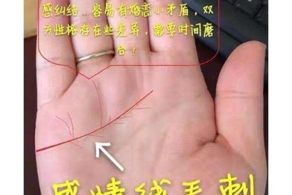 手相揭秘：双重感情线预示财运亨通，揭秘你的运势密码