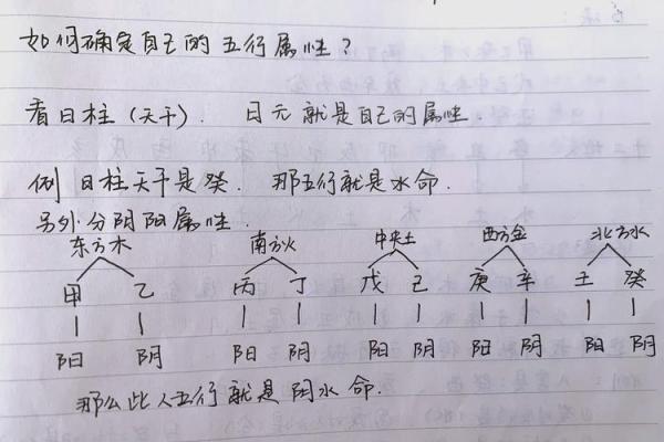 从五行八字看命运：你如何掌控自己的命运轨迹