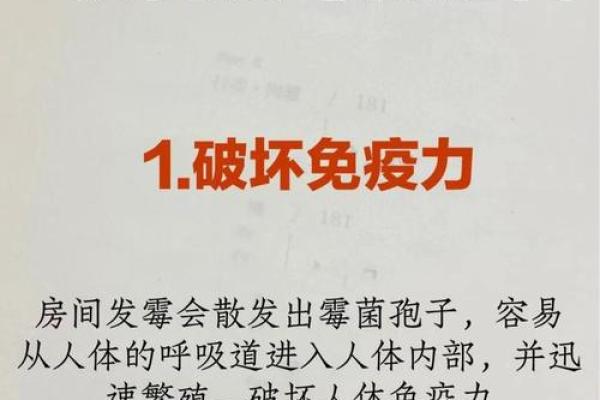 霉运缠身？揭秘房子长霉背后的风水秘密