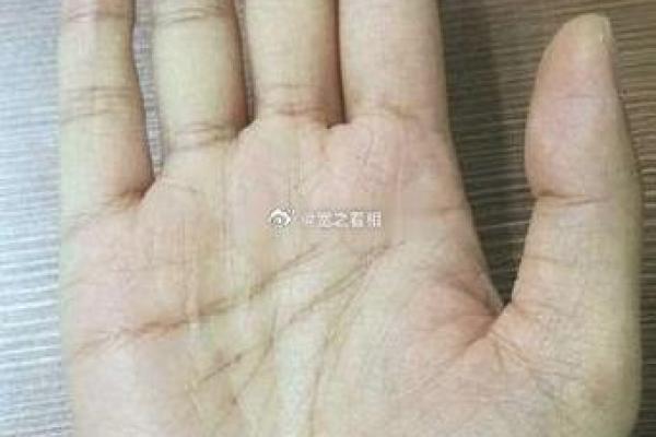 手相揭秘：桃花运爆棚，揭秘你的爱情运势