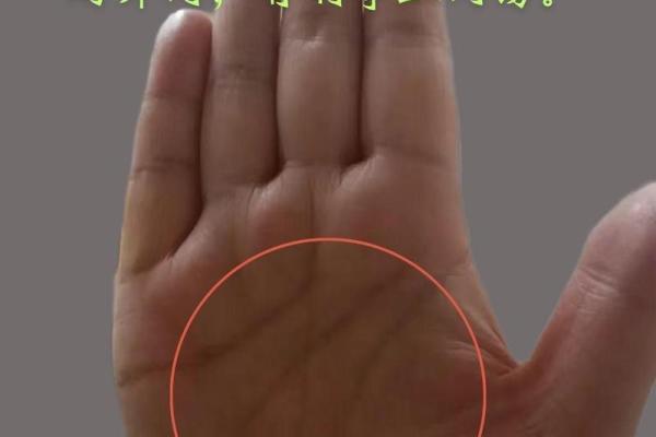 手掌上的秘密：痣相女运势揭秘