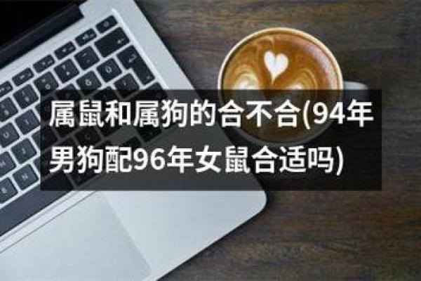 狗狗配对大揭秘：男狗女免，真的不合适吗？