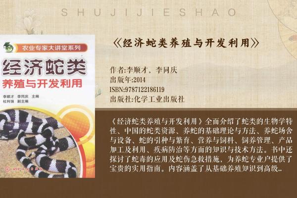 你不知道的蛇业公司命名技巧，让品牌更具吸引力