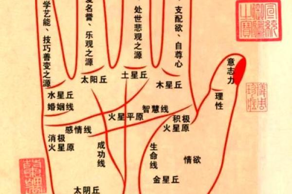 女手相揭秘：虎长龙短预示着什么？运势大揭秘