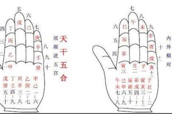 天干戊能否生天干辛金？揭秘五行之谜