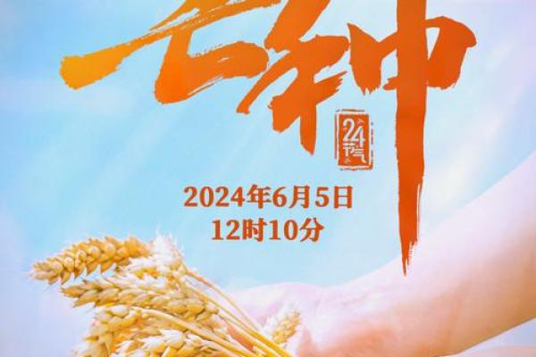 芒种时节：探寻古代农耕文化中的芒种风俗与庆祝活动