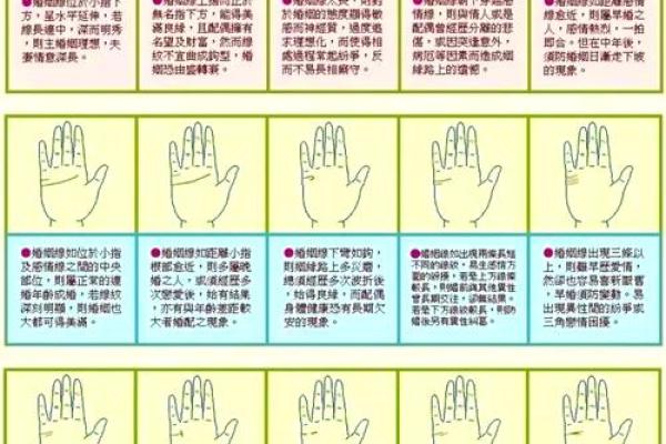 手相揭秘：揭秘你的寿命密码，一招看穿健康与寿命