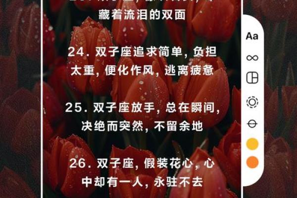 双子座：揭秘双面星人的神秘命运密码