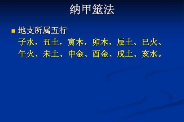 五行中的辰，土的力量揭秘