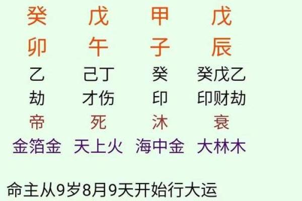 如何运用金口金口诀排盘，提升你的人生决策力