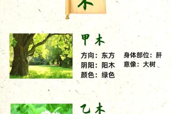 探索三楼五行属什么的深层含义