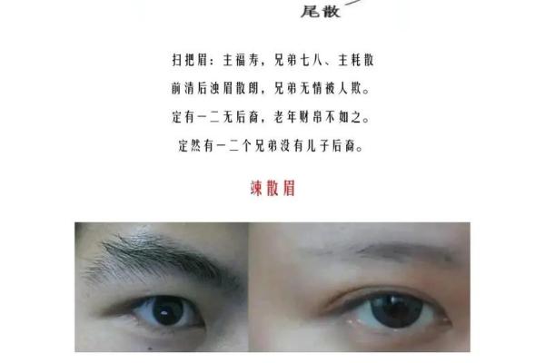 解码面相，掌握运势：易经风水揭示你的命运秘密