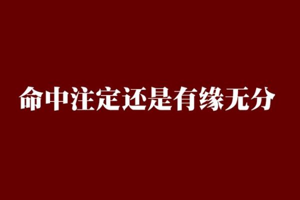 命中注定，非凡人生