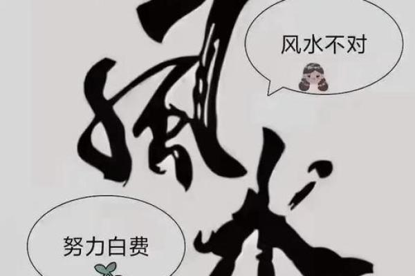 河畔风水宝地，财运亨通，揭秘风水大师亲传秘籍