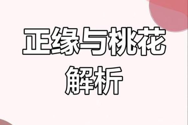 如何利用桃花运改变命运，解密命理秘密！