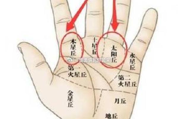 手相月丘得男财：揭秘财运亨通的秘密