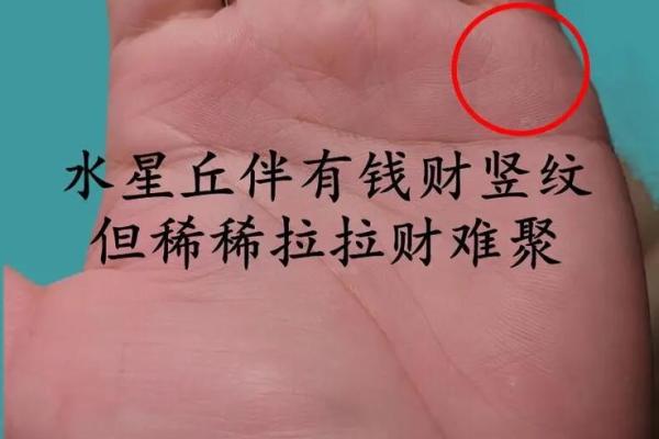 手相月丘得男财：揭秘财运亨通的秘密