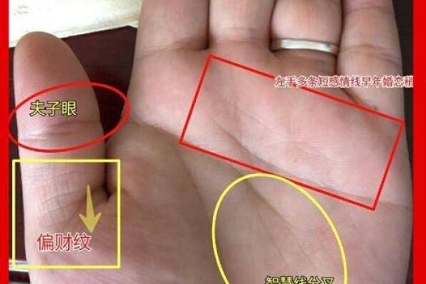 手相揭秘：耳朵形状暗藏命运秘密，一招看透运势起伏