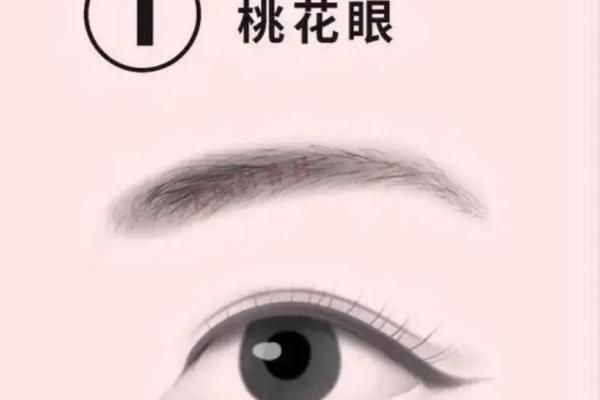 桃花眼下的富贵相：揭秘面相中的桃花运势宝藏