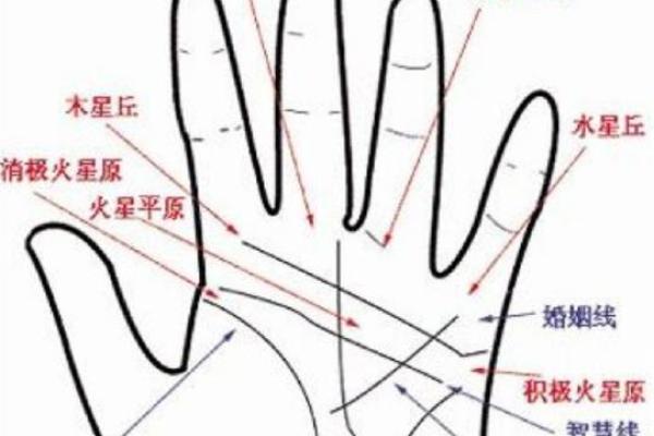 手相揭秘：艮宫向下支线暗示的重大运势转折