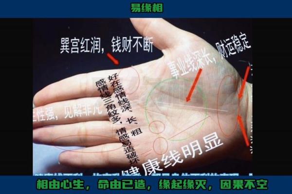 揭秘：手相中透露的财运秘密，男人必看