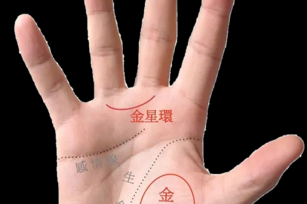 揭秘：手相中透露的财运秘密，男人必看