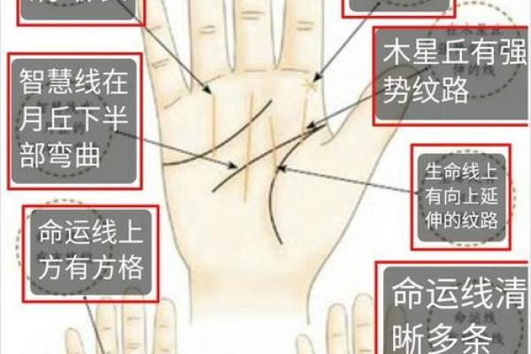 揭秘手相九大桃花：掌握命运，邂逅真爱