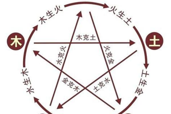 揭秘己亥年五行：了解你的命运关键