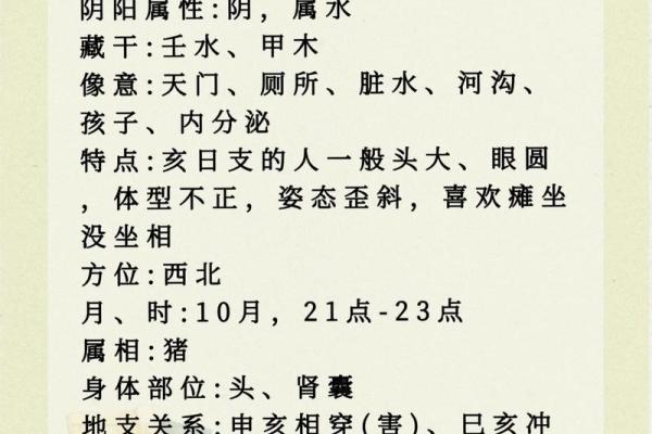 揭秘己亥年五行：了解你的命运关键