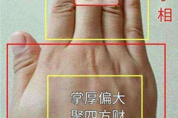 女生财运手相揭秘：一招看透你的富贵命